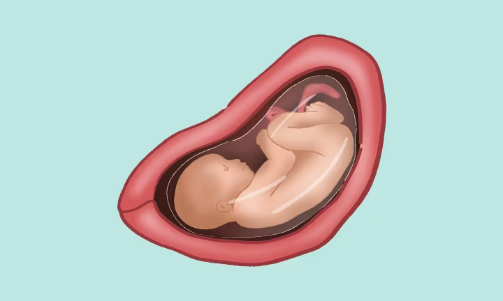 29 weeks pregnant