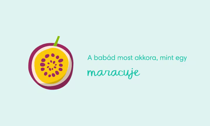 pregnancy-week-by-week-week-12