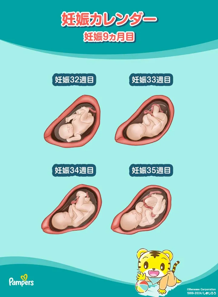 妊娠9ヵ月目