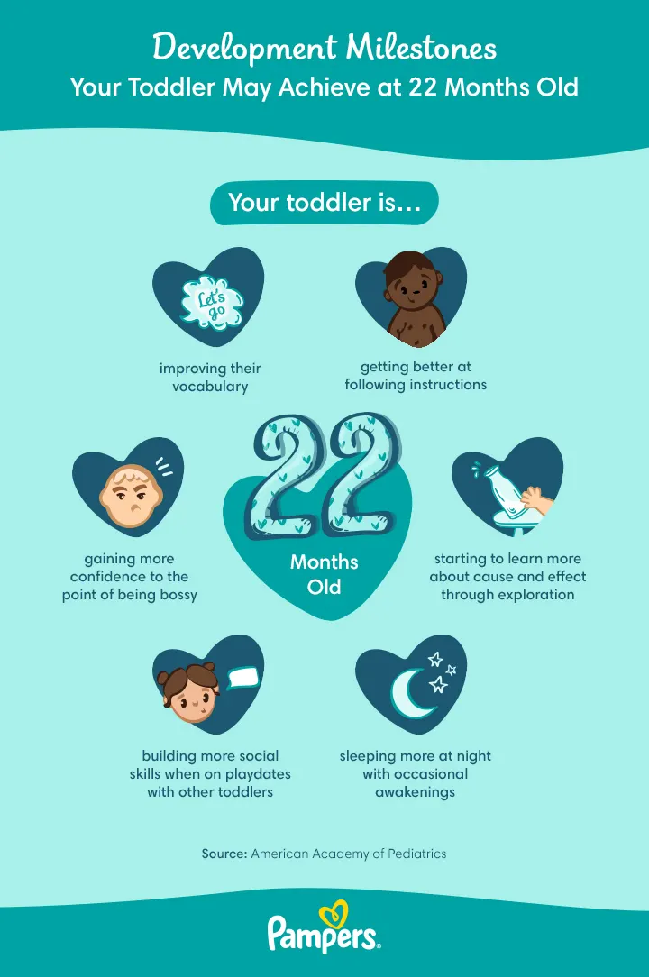 22 month old milestones