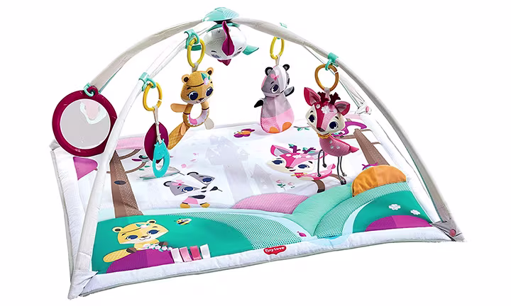 Tiny Love Gymini Deluxe Infant Activity Gym Play Mat