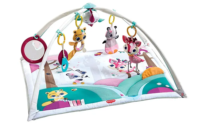 Tiny Love Gymini Deluxe Infant Activity Gym Play Mat