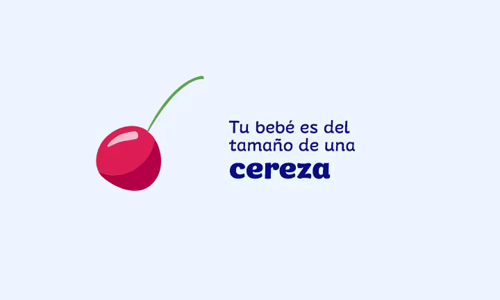 tamaño del feto a las 9 semanas   