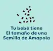 4 Semanas de Embarazo