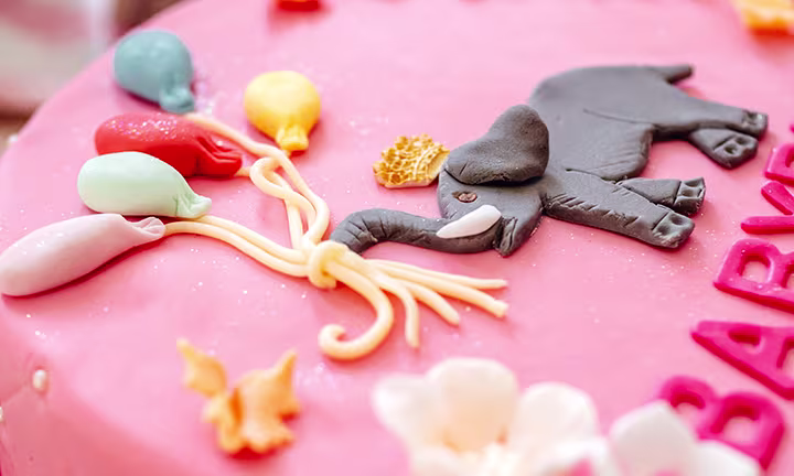 Elephant-Themed Baby Shower Cake for a Girl