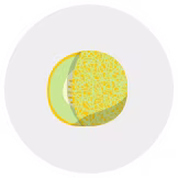honeydew melon
