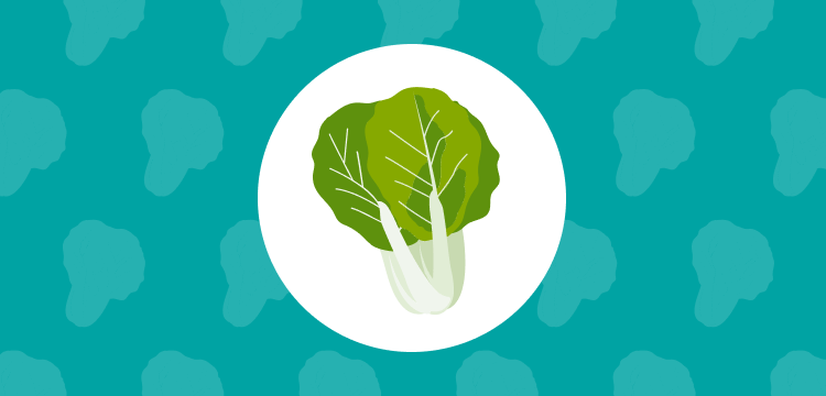 nappa cabbage