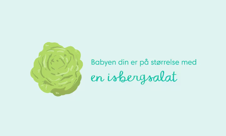 Week 28 pregnancy