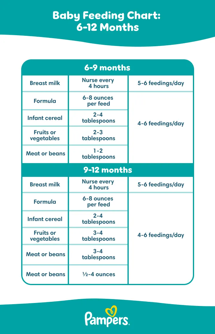 6 month-old feeding schedule