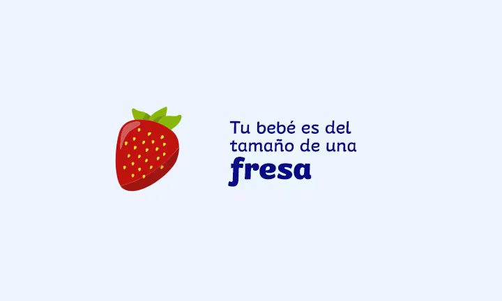 tamaño del feto a las 10 semanas