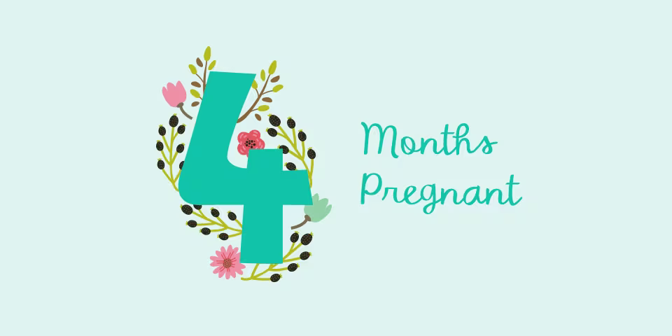 4 months pregnant illustration