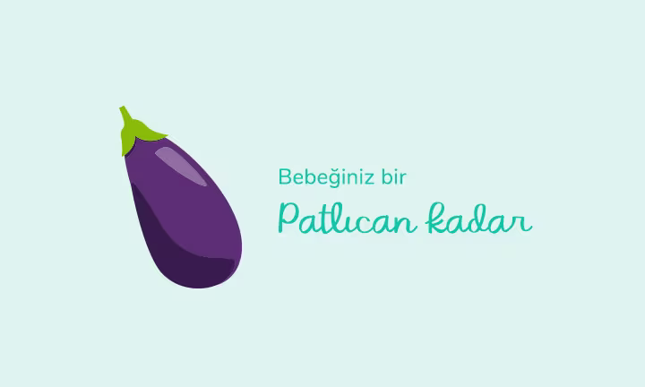 Your baby is the size of an eggplant