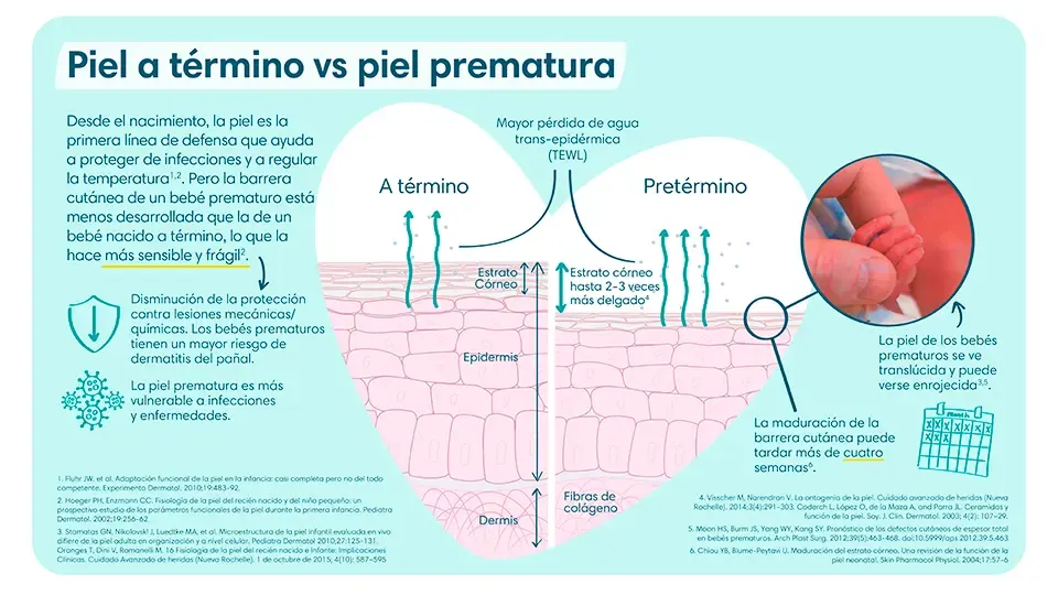 Diferencias de una piel a término vs una piel prematura | Pampers® Perú Diferencias de una piel a término vs una piel prematura