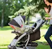 Baby in a stroller