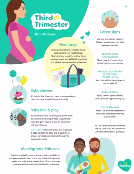 Third Trimester