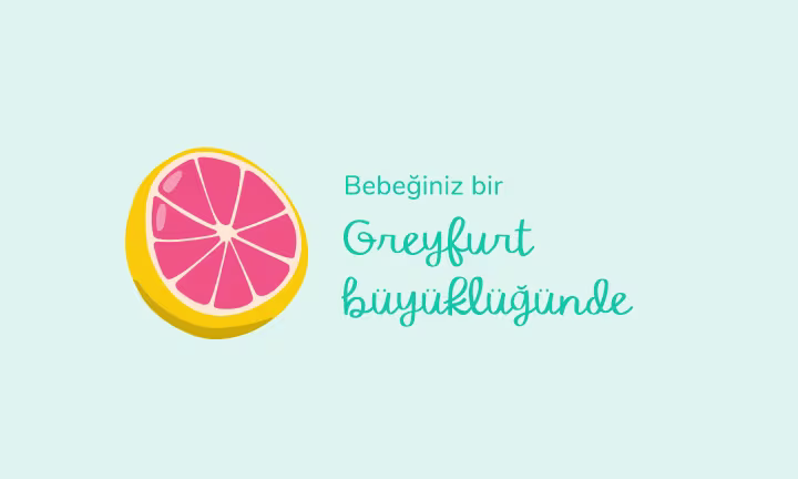 Your baby is the size of a grapefruit