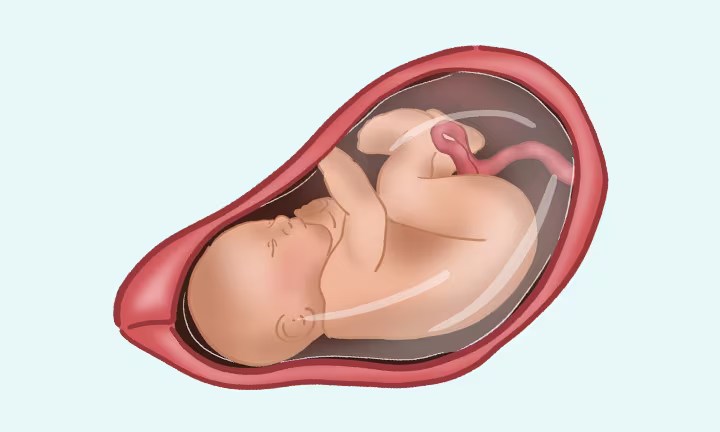 Un bébé après 38 semaines de grossesse