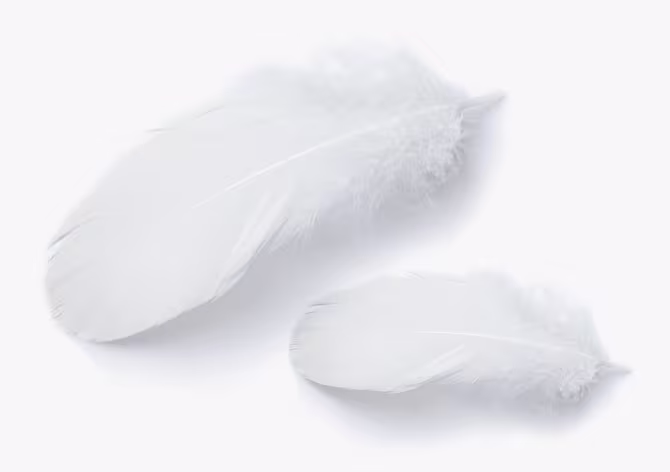 Pampers® Pure Protection