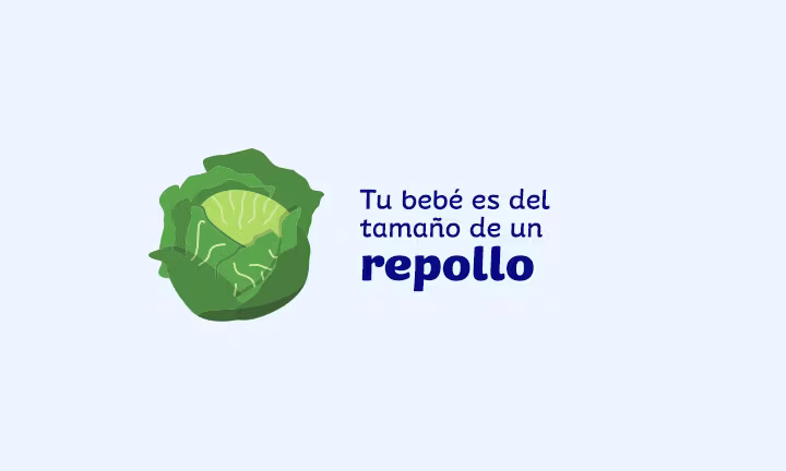 Semana 30 de embarazo