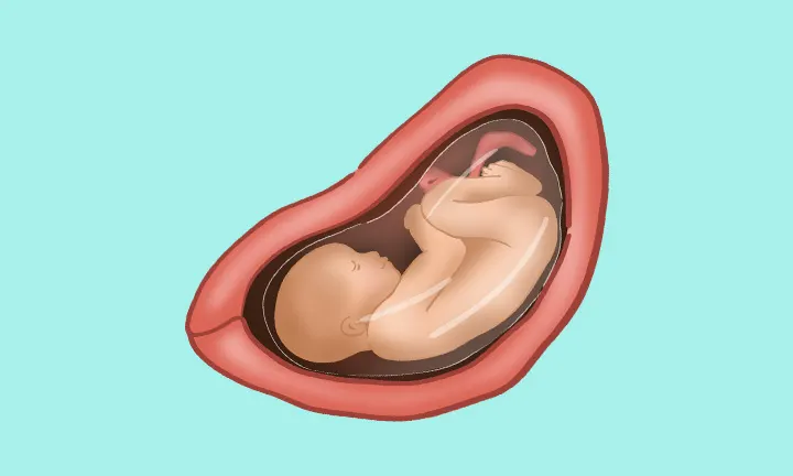 baby at 29 weeks pregnant