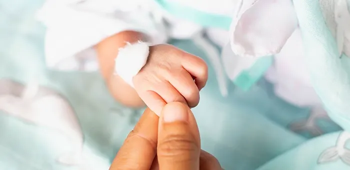mano de bebé prematuro tomando la mano de su madre mano de bebé prematuro tomando la mano de su madre