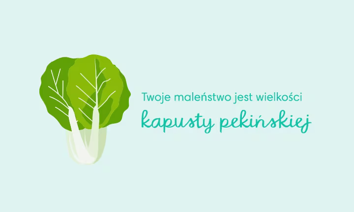 baby size of napa cabbage week 32