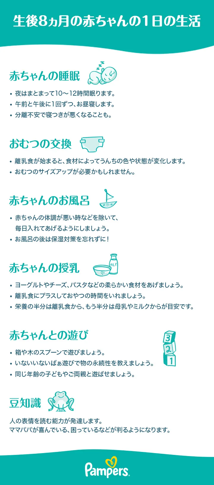 生後 8 ヶ月 スケジュール 生後 8 ヶ月 スケジュール