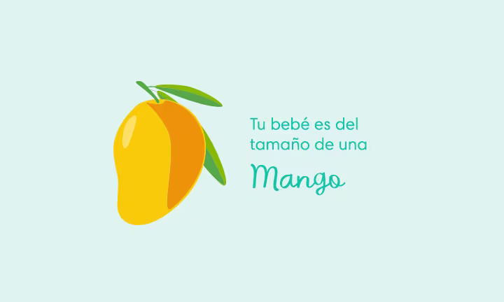 Tu bebé es del tamaño de un mango