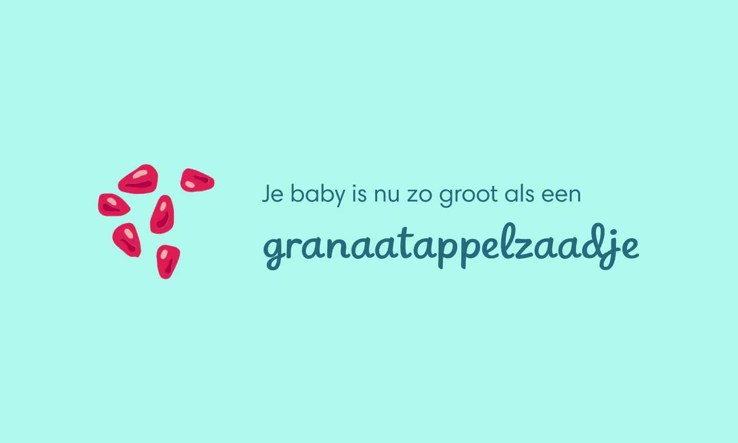 Je baby is nu zo groot als een granaatappelzaadje