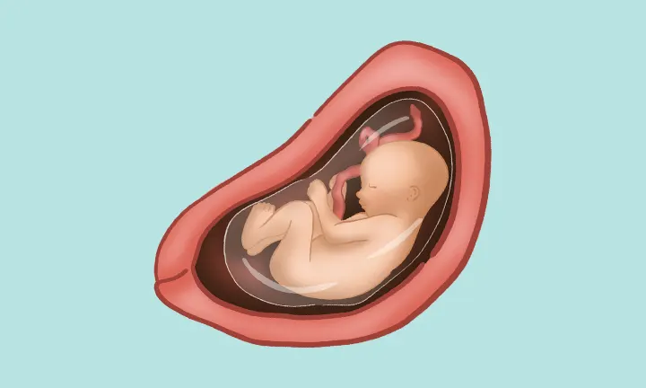 baby at 27 weeks pregnant 