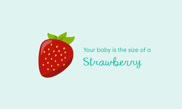 baby size of strawberry at week 10