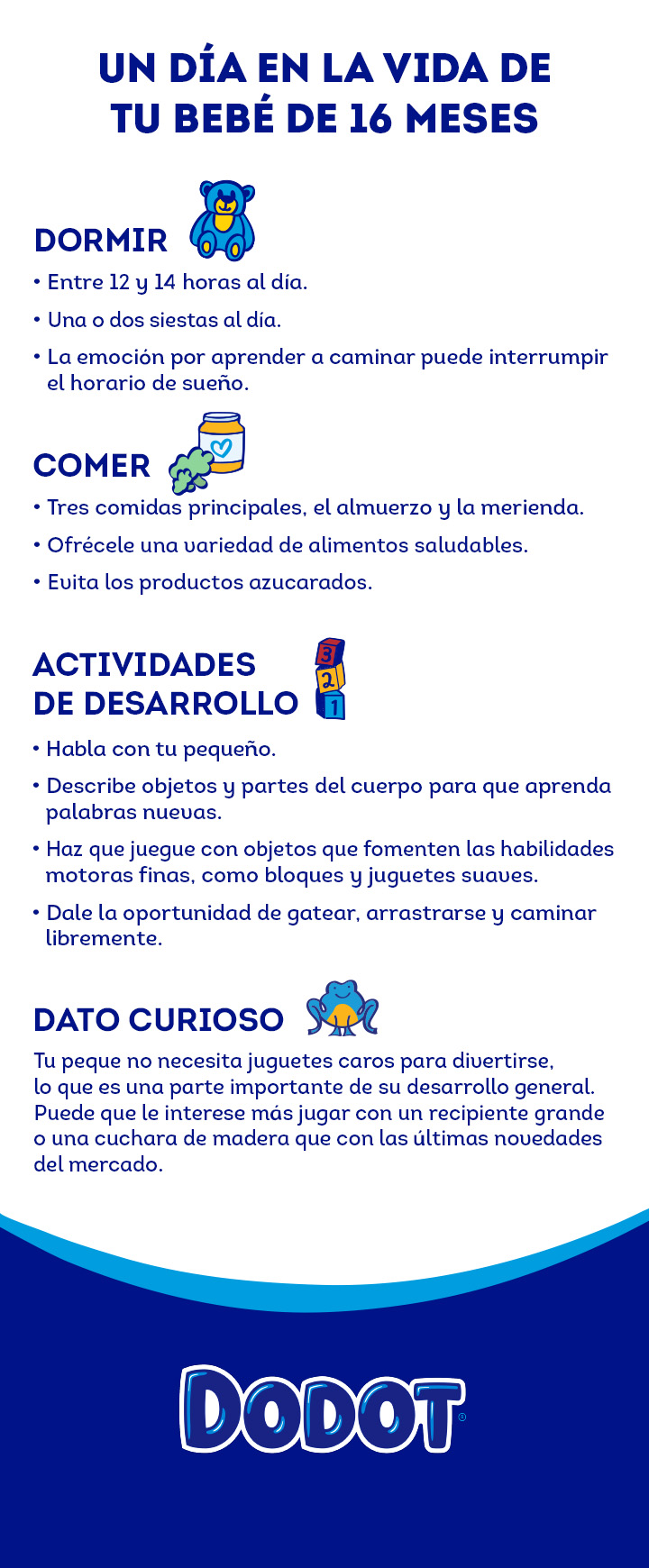 desarrollo cognitivo bebes a los 16 meses