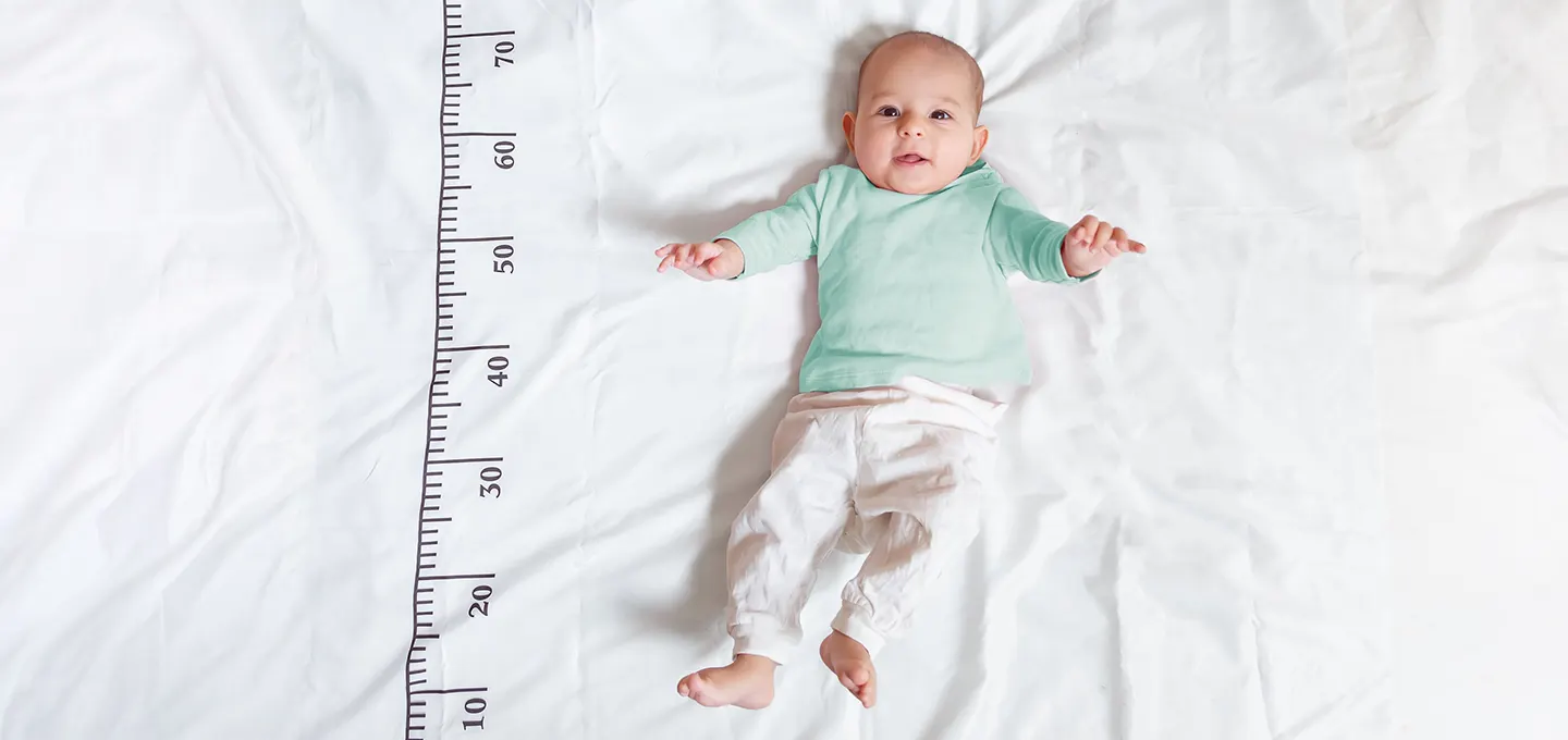 Brotes de crecimiento