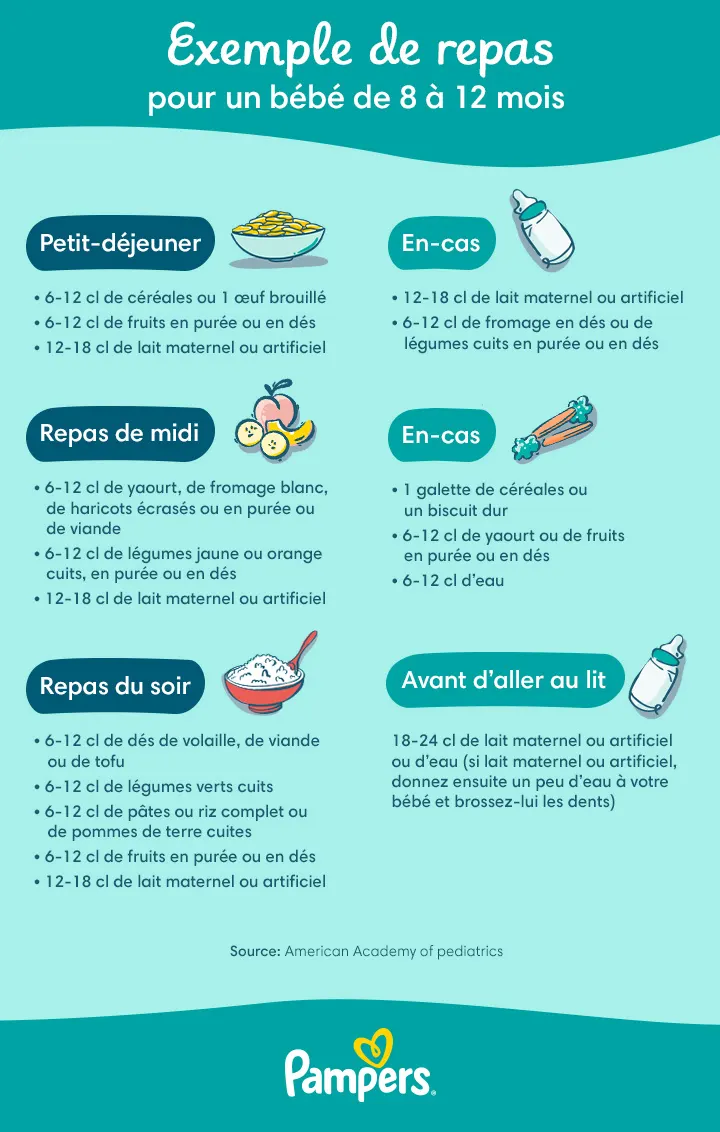 Exemple de repas pour un bébé de 8 à 12 mois