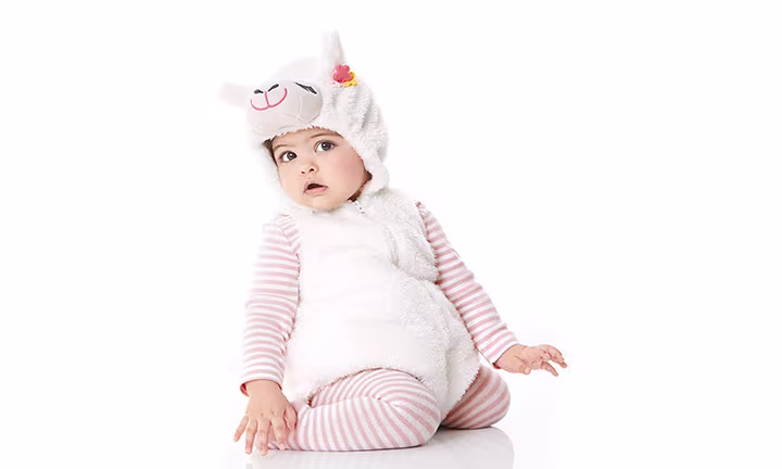 Carter's Little Llama Halloween Costume