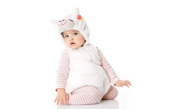 Carter's Little Llama Halloween Costume