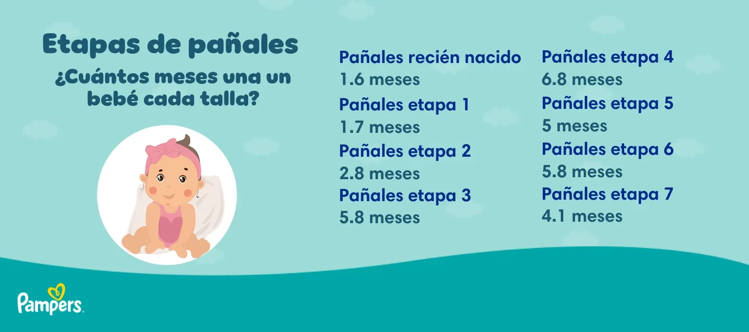 Etapas de pañales