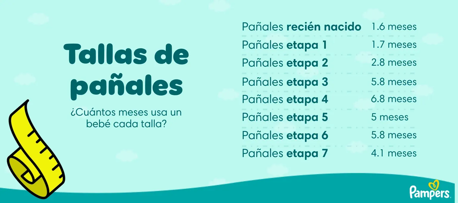 Etapas de pañales
