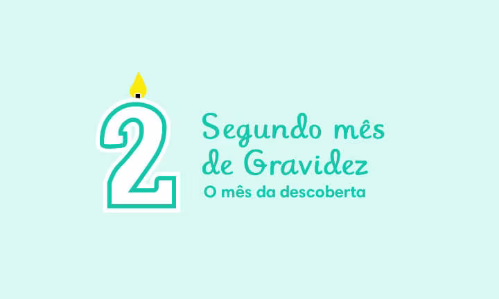 Segundo-Mês-da-Gravidez