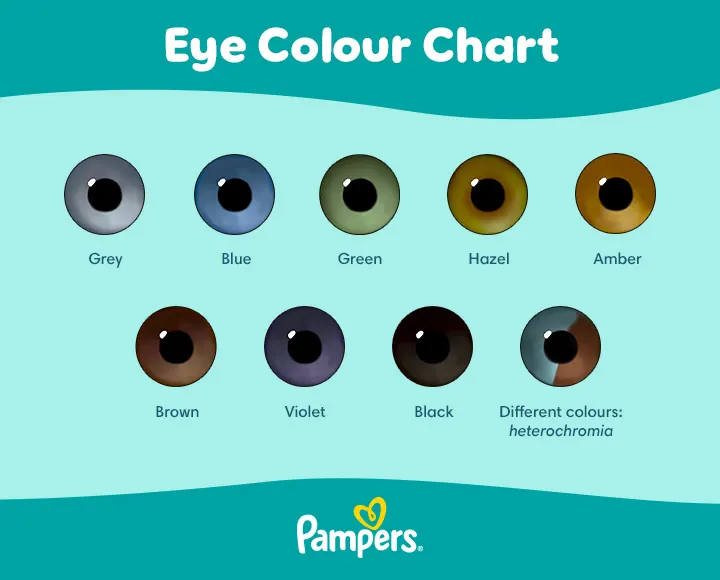 Eye Colour Chart Eye Colour Chart