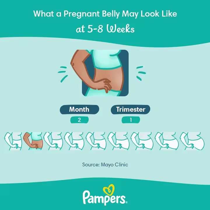 Pampers US Belly Growth 2 month