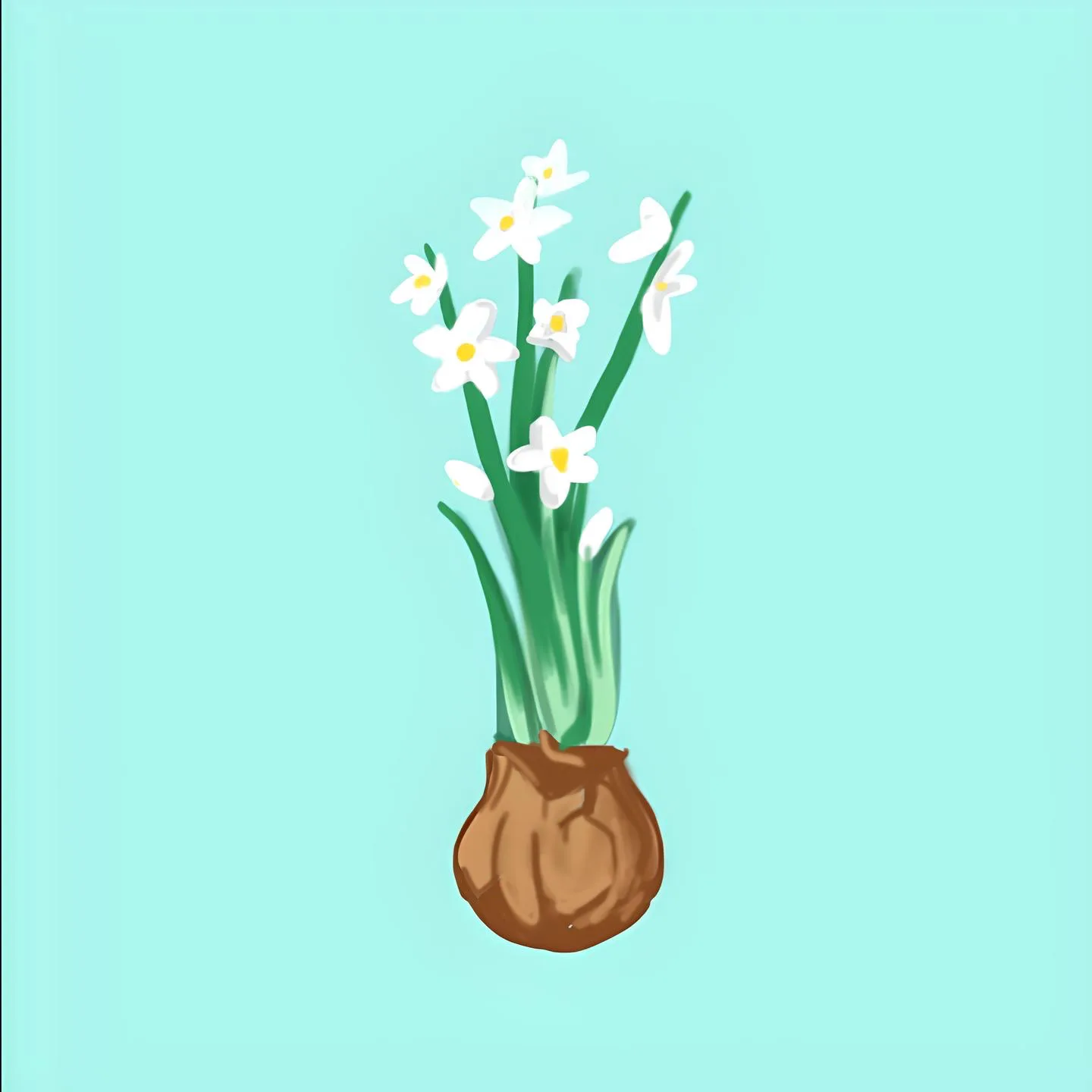 December Birth Flower
