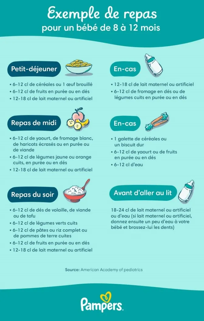 Exemple de repas pour les bébés de 8 à 12 mois