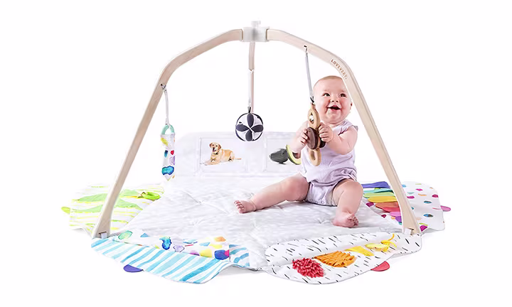 The Play Gym by Lovevery