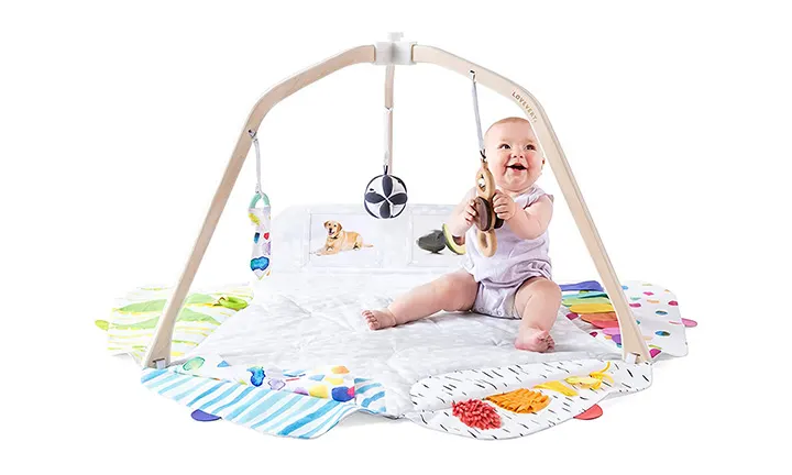 The Play Gym by Lovevery