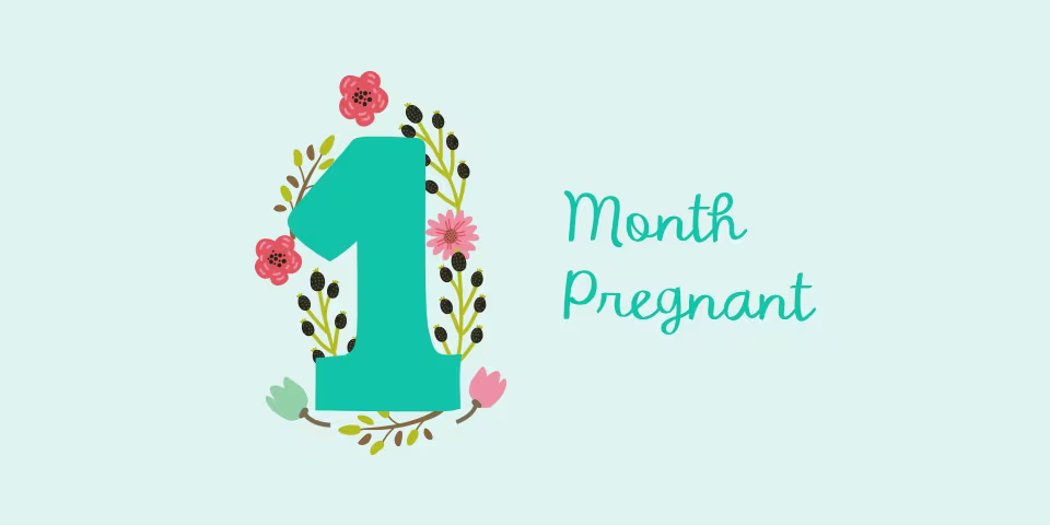 1 month pregnant illustration