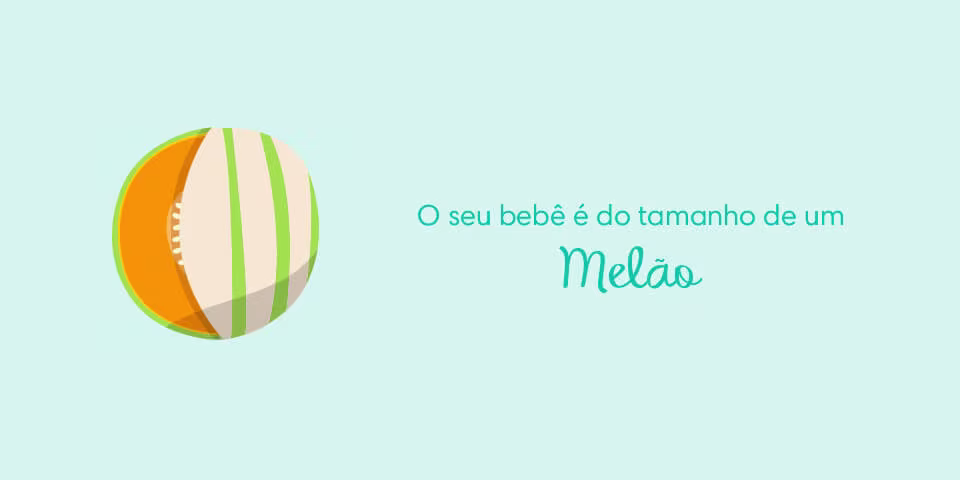 topimage-week34-1920x304