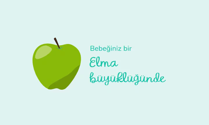 Your baby is the size of an apple