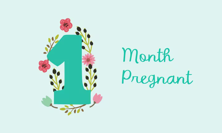 1 month pregnant