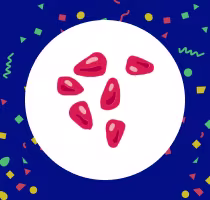 Semana 6: Tu bebé es del tamaño de una semilla de granada